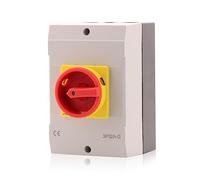 Intratec Interrupteur principal avec boîtier, 32A, 3 pôles - Sectionneur mural IP65 pour intérieur et extérieur, solution robuste tout-en-un (175 x 115 x 135 mm)