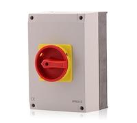 Intratec Interrupteur principal avec boîtier, 63A, 3 pôles - Sectionneur mural IP65, pour intérieur et extérieur, interrupteur compact (240 x 160 x 165 mm)