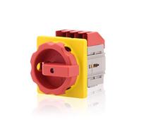 Intratec Interrupteur principal sectionneur 4 pôles 40A - Interrupteur principal encastrable avec arrêt d’urgence, version Premium, certifié VDE/UL/CSA