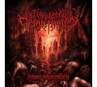 Intravenous Contamination - Drowned in Human Fluids [Import]