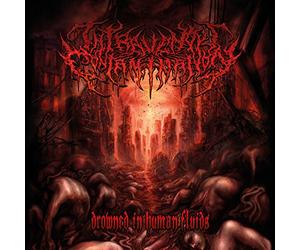 Intravenous Contamination - Drowned in Human Fluids [Import]