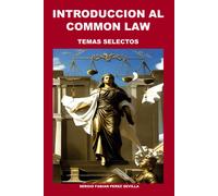 Introduccion Al Common Law: Temas Selectos