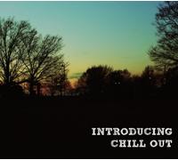 Introducing Chill Out [Import allemand]