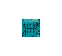 The Sonics – Introducing the Sonics – Vinyle