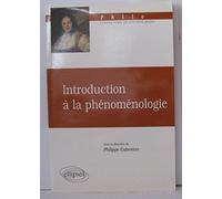 Introduction à la phénoménologie