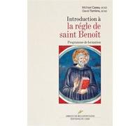 Introduction a la regle de saint benoit Mickaël Casey (Auteur), TOMLINS DAVID (Traduction), CAZABONNE EMMA (Auteur)