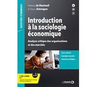 Introduction à la sociologie économique: Analyse critique des organisations et des marchés
