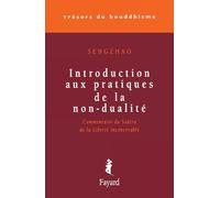 Introduction aux pratiques de la non-dualité