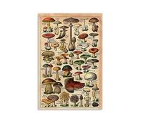 Introduction de divers champignons moderne maison cuisine dortoir chambre d'enfant 30 x 45 cm