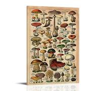 Introduction of Various Mushrooms Décoration moderne pour la maison 20 x 30 cm