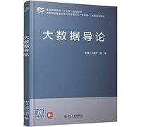 Introduction to Big Data(Chinese Edition)