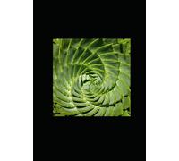 Introduction to Calculus