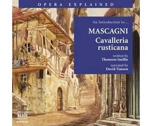 Introduction To Cavalleri