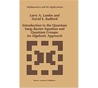 Introduction to the Quantum Yang-Baxter Equation and Quantum Groups: An Algebraic Approach Lambe, Larry A., Lambe, L. a., Radford, D. E. (Auteur)
