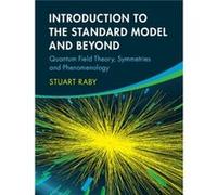 Introduction To The Standard Model And Beyond