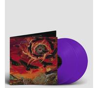 The Direction of Last Things