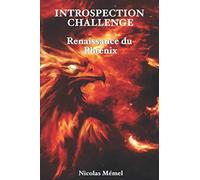 Introspection Challenge: Renaissance du Phœnix