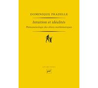 Intuition Et Idéalités - Phénoménologie Des Objets Mathématiques