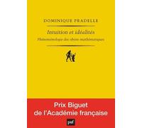 Intuition Et Idéalités - Phénoménologie Des Objets Mathématiques