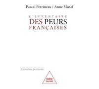 Inventaire Des Peurs Françaises - La Société À L'aune D'un Sentiment