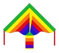 Invento Simple Flyer Rainbow ligne Simple Flyer Rainbow 85 cm G