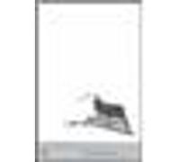 Invisible man Ralph Ellison (Auteur)