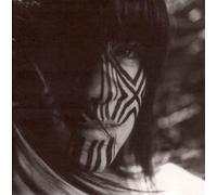 Invisible Ones by Orenda Fink