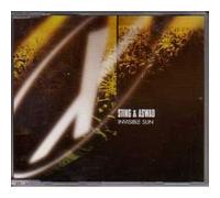 Sting & Aswad - Invisible