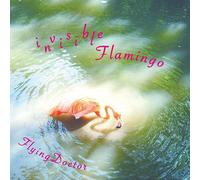 invisibleFlamingo