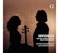 Invisibles