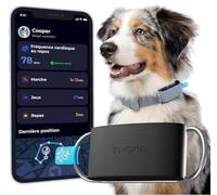 Invoxia Traceur GPS & Santé Minitailz pour chien - Localisation temps réel, Alertes anti-fugue, 1 an