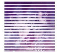 Invsn - Live at Clouds Hill [Import]