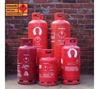 Inwards - Feeling So Fun Reality [Vinyl Lp] Colored Vinyl, Green, Ltd Ed