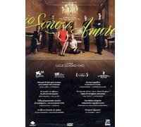 Je suis l'amour – Tilda Swinton, Flavio Parenti, Edoardo Gabbriellini – DVD – CG Entertainment