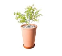IOEDHW Paquet de 1/3 jardinières en terre cuite, pot de plante rond en terre cuite haut et mince, pot de fleur en terre cuite intérieur et extérieur avec trous de drainage et plateau pour la plantatio
