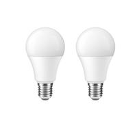 IOEDHW Paquet de 2/10 Ampoules à vis E27, Ampoules LED E27 Blanc Chaud 3000K sans Bruit, Ampoule à économie d'énergie 24W (équivalent 120W), Ampoule LED Non Variable sans Scintillement, 2400 lumens