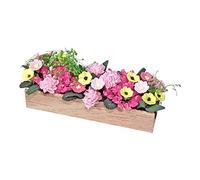 Ioensy 1:12 Dollhouse Miniature Flower Pots Micro Landscape Garden pour La Décoration