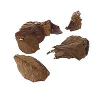 Ioensy 10 Feuilles de Betta Aux Propriétés Antiseptiques Bénéfiques. Outil de Nettoyage Utile.