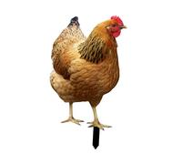 Ioensy Statue de Poule, Piquet de Jardin, Décoration de Jardin, Sculpture Animale Décorative En Métal, Figurine de Poule, Insert de Sol Décoratif, 31.5x17.4x0.1cm