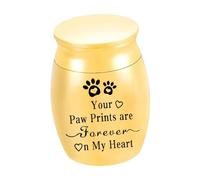 Ioensy Urne Funéraire pour Animaux de Compagnie, Petite Urne Funéraire pour Chat, Urne Souvenir pour Lapins, Petits Animaux, Chiot, or
