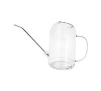 IOIUSKKU Arrosoir en Acier Inoxydable avec tête de pulvérisation Amovible, idéal pour Tous Types de Plantes d'intérieur et massifs Fleurs. Convient également pour la, Blanc, 12.5 x 20.2 cm