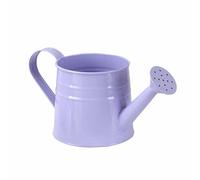 IOIUSKKU Mini arrosoir en métal, pot de fleurs rustique unique pour jardin, intérieur et extérieur. Hauteur : environ 11,5 cm. Mini arrosoir en fer, Violet, 24.5 x 11. cm
