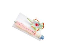 IOIUSKKU Structure du Corps cellulaire neuronal et des Fibres nerveuses présentes dans Un modèle de neurone Anatomique Humain : étude en Laboratoire ; dendrites ; modèle de Cellule neuronale ;