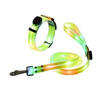 Iouyjiu Lighted Dog Leashes and Collar Set, High Visibility LED Dog Rope for Night Walking, USB Rechargeable, Portable and Sturdy Lead, Made with Sturdy Nylon Fabric Material