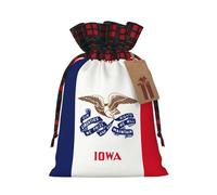 Iowa State Flag Pochette avec cordon de serrage imprimé pour fête, mariage et festival, polyester léger