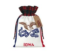 Iowa State Sac de Noël avec cordon de serrage pour fête d'anniversaire de Noël Motif drapeau de l'État de l'Iowa 12 x 17 cm