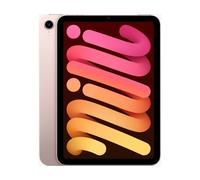 iPad 8,3 Rose 256 Go (6e gen.)"