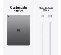 iPad Air 13 M4 WiFi Cl 256GB Space Grey