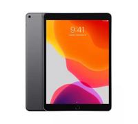 iPad Air 3 256Go - Gris - WiFi + 4G