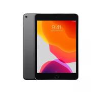 iPad Mini 5 7.9'' 64Go - Gris - WiFi